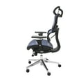 OFM Ergo Office Chair featuring Mesh Back and Seat with Optional