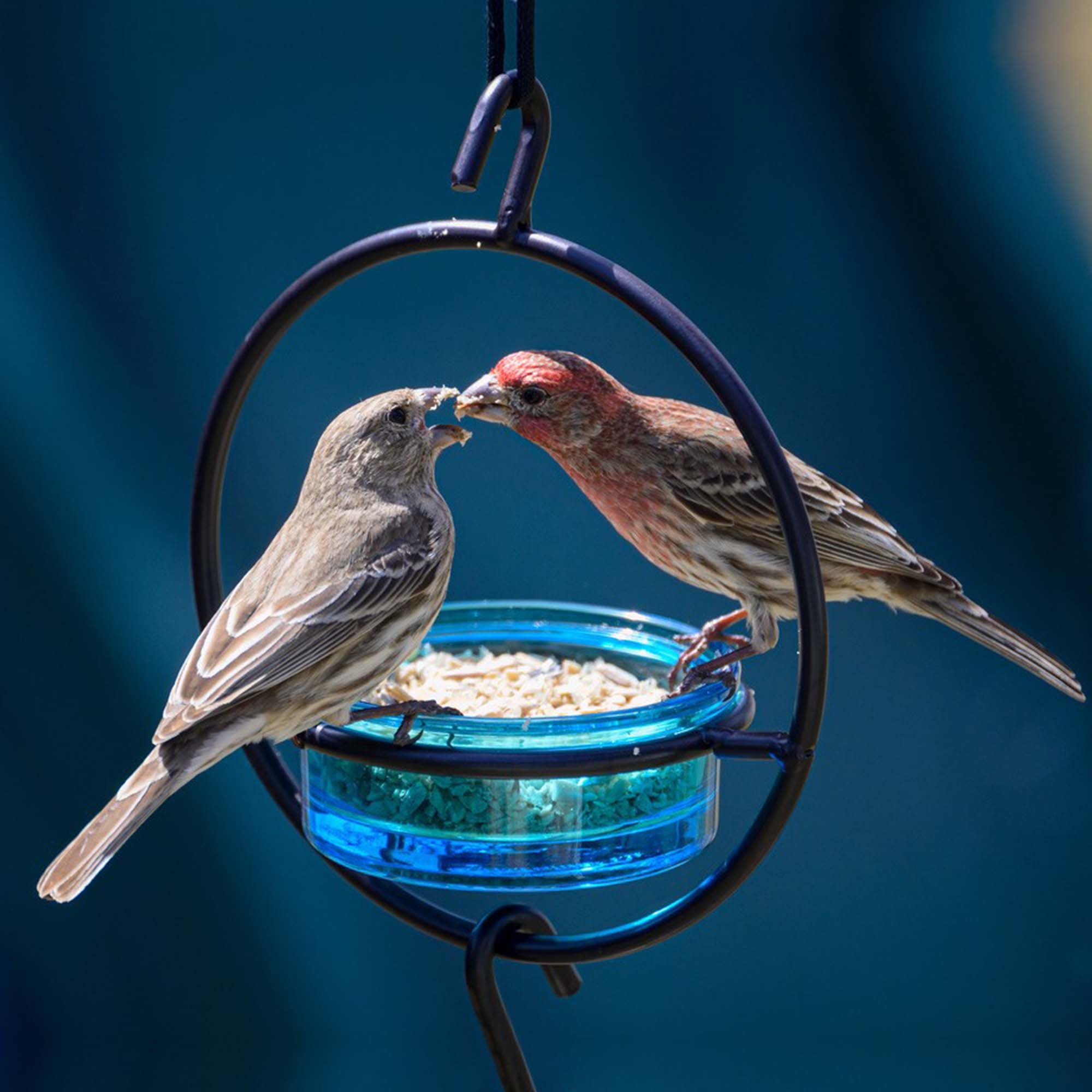 Mosaic Birds Recycled Glass & Metal Hanging Bird Feeder for Outdoors-Oriole Feeder for Garden- Bluebird Feeder -Aqua Blue