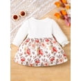 thumbnail image 3 of GXFC Baby Girls Fall A-line Dress Clothes 3M 6M 9M 12M 18M Infant Girls Long Sleeve Floral Dress Spring Autumn Clothing for Newborn Girls, 3 of 9