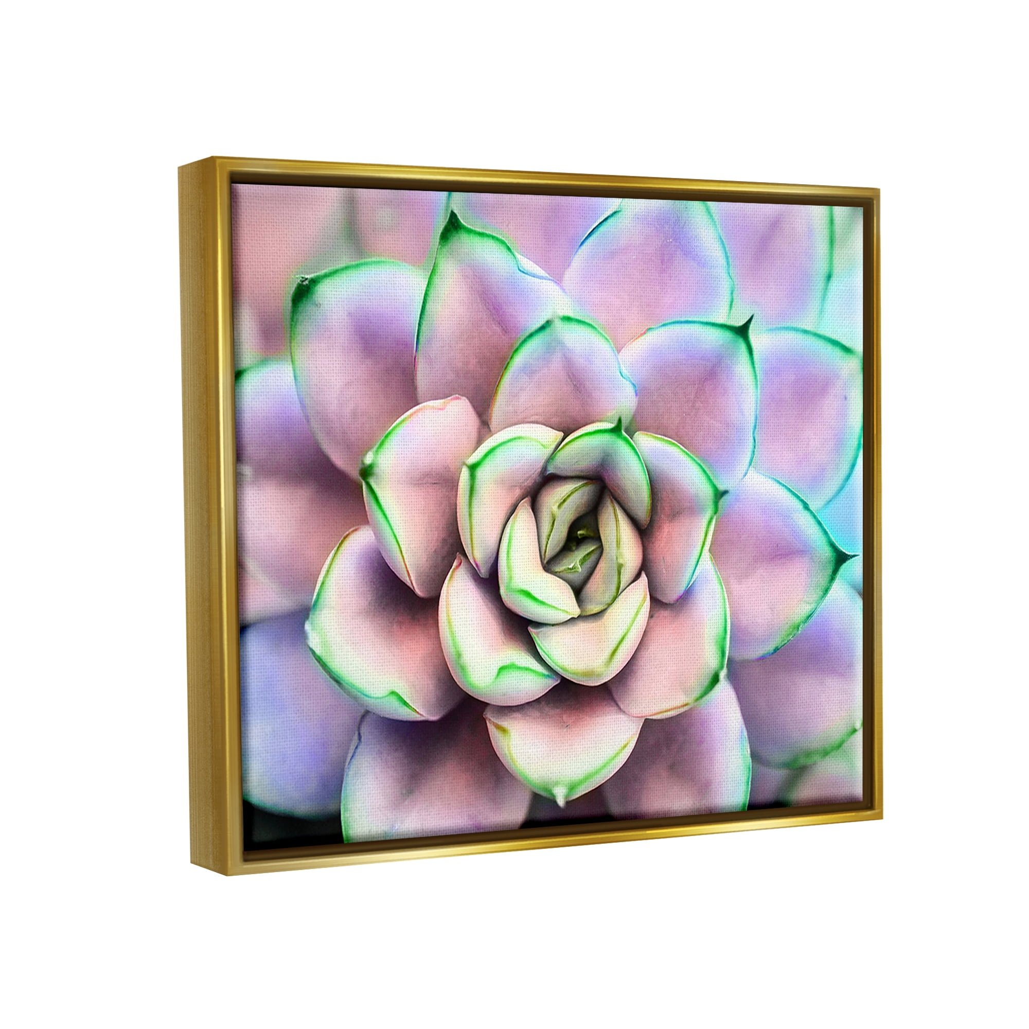 Stupell Industries Purple & Green Succulent Petals Botanical & Floral Photography Gold Floater Framed Art Print Wall Art