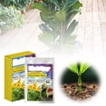 thumbnail image 1 of SXcggal Growth Sticks Provide Long Lasting Roots Damage And Are Suitable For Both Flower And Leaf Viewing Practical Basic Rooting Tool For Garden, 1 of 8