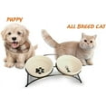 thumbnail image 2 of Healthy Material Promotes Hygiene, Perfect Size Bowls Accommodate Various Pets, Tilted Raised Stand Improves Posture, 2 of 6