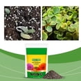 thumbnail image 5 of ZULAR 2026 New Organic Potting Soil Mix,Organic Outdoor Potting Mix,Garden Soil for Outdoor Plants,Potting Mix,For Outdoor Container Plants for Pots,Planters,Raised Beds,Balcony Garden,100G Per Bag, 5 of 5