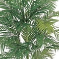 thumbnail image 2 of HomeStock 7Ft. Antique Accents Silk Palm Tree, 2 of 7