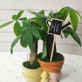 thumbnail image 5 of 20pcs Toothpick Chalkboard Signs Decorative Small Chalkboards Blackboard (Kettle,), 5 of 5