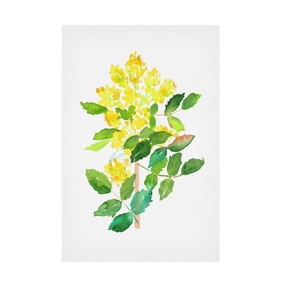 Trademark Fine Art Kata Botanical Oregon grape or Mahonia Canvas Wall Art