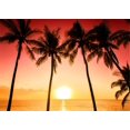 thumbnail image 1 of XDDJA Polyester Fabric 7x5ft Beach Photo Background Sunset Natural Scenery Tree Photography Backdrop for Wedding, 1 of 2