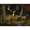 thumbnail image 2 of Stans, Leo 18x15 White Modern Wood Framed Museum Art Print Titled - The Legend, 2 of 4