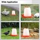 thumbnail image 5 of Bebedero para pollitos de alta resistencia, paquete de 4, bebedero para aves de corral de 1 litro con asa, recipiente de agua de plástico para aves de corral, pavos, patos y más, 5 of 5