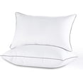 thumbnail image 1 of EcoNesxp 2-Pack 2-Piece Down Alternative Full Fill Hotel Series Bed Pillows, 1 of 5