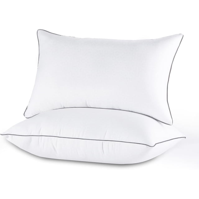 EcoNesxp Lot de 2 Oreillers de Lit Série Hôtel Alternative Duvet 2 Pcs