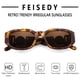 thumbnail image 4 of Gafas de Sol FEISEDY Retro Tendencia Rectangulares Vintage B2322, 4 of 6