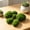 H*2, variant on SeekLGT Artificial Moss Rocks Decorative Green Moss Stones, Fake Moss Covered Balls for Fish Landscaping Aquarium, Home Tabletop Plant Wall Decor, 6 PC