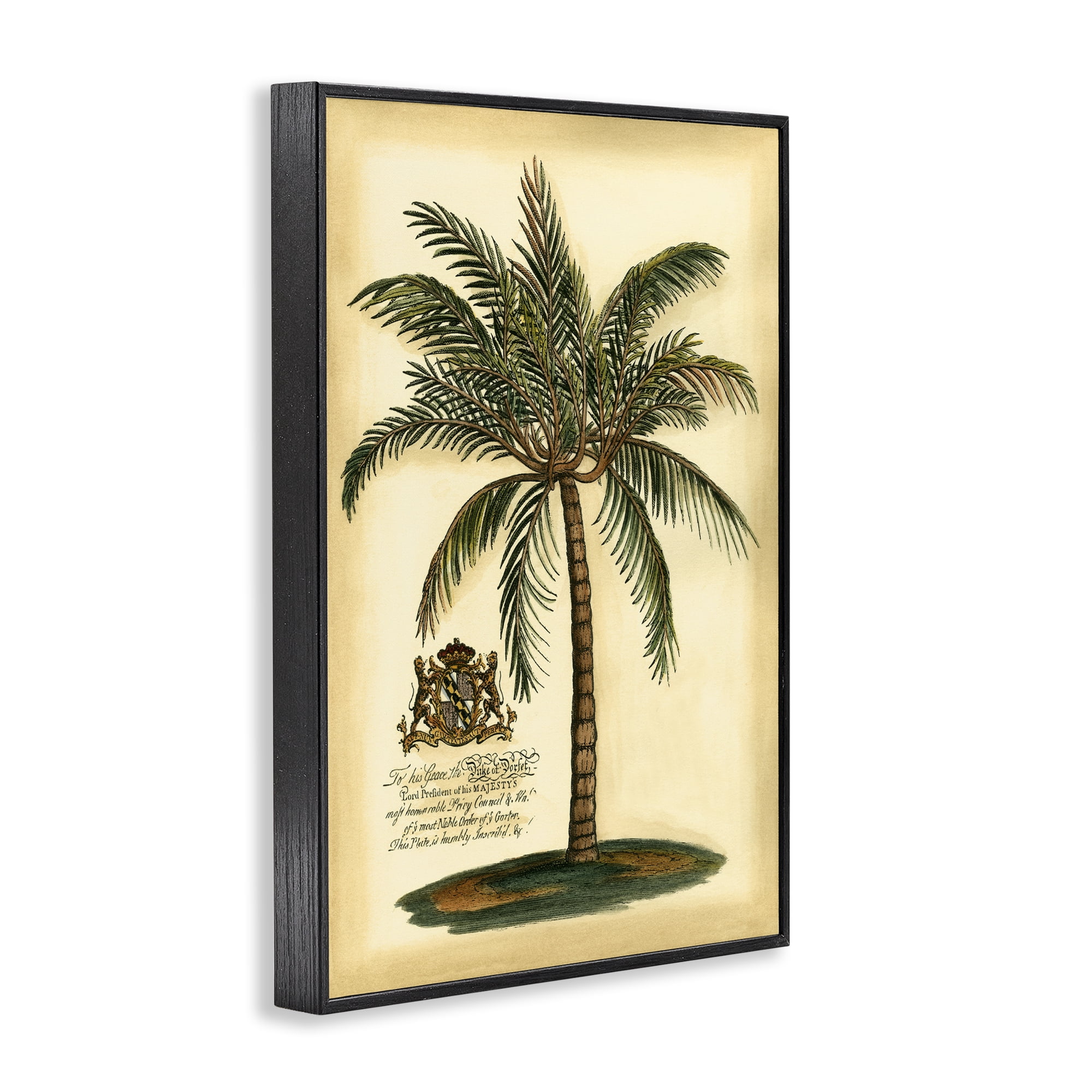 Stupell Industries British Colonial Palm Black Framed Giclee Art, design by Vision Studio