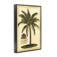 thumbnail image 2 of Stupell Industries French Country British Colonial Palm Black Framed Giclee Art, 12 x 18, by Vision Studio, 2 of 8