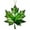 Green, variant on 2026 Blue Maple Leaf Acrylic Keychain – Artistic Bag, Luggage & Purse Charm for Nature Lovers & Everyday Carry, Lightweight & Durable (ABS)