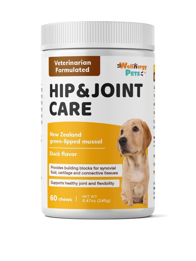 glucosamine chews for dogs