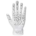 thumbnail image 3 of Pacific Giftware Psychic Palmistry Hand Fortune Teller Divination Diagram Resin Figurine, 3 of 3