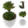 thumbnail image 1 of FESTFENDS Suculentas Artificiales Pequeñas En Maceta Para Oficina Y Hogar Decorativo, 1 of 7