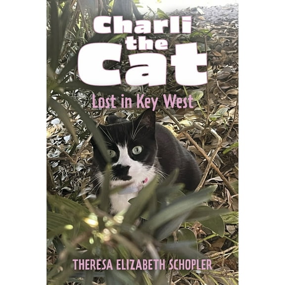 Charli the Cat Charli the Cat, Lost in Key West: Volume 2, (Hardcover)
