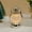 Silver, variant on 100Fens Creative Retro Small Oil Lamp Small Horse Lamp Holiday Decorations Small Night Lamp Table Desktop Atmospheres Decor