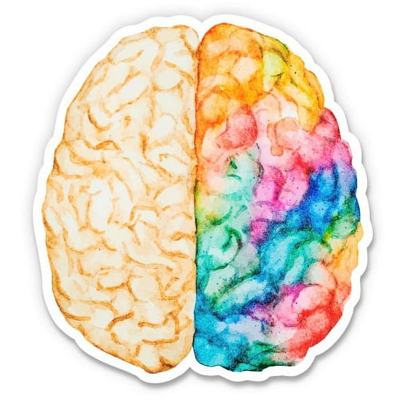 Brain - 3" Vinyl Sticker - For Car Laptop I-Pad Phone Helmet Hard Hat - Waterproof Decal