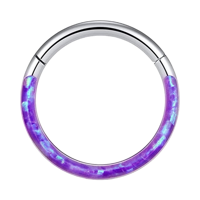 16G Opal Septum Rings Hoop Nose Ring Lip Rings Stainless Steel Hinged Segment Ring Seamless Ring Cartilage Earrings Hoop Tragus Septum Piercing Jewerly Nose Rings 8mm L Shape Nose Piercing Nose Rings