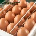 thumbnail image 3 of Home Egg Organizer for Refrigerator Egg Storage Container Organizer Egg Fresh Storage Box Home Kitchen Essentials, 3 of 7