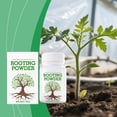 thumbnail image 4 of Yardvibe ABC Rooting Powder for Plants, 4 Pack Plant Growth Enhancement Nutritional Fertilizer Powder for Cuttings & Garden Plants, 4 of 9
