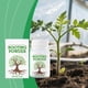 thumbnail image 3 of Suportes de Plantas para Plantas Al Aire Libre Mejora Del Crecimiento Fertilizante en Polvo Nutricional para un Crecimiento Robusto Y Sistemas de Raíces Fuertes, Versátil para Jardinería Interior Y Ex, 3 of 9