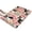 Pink Boston Terrier, variant on Labrador Dog and Flower Floral Flannel Non Slip Door Rugs,Washable Door Mats Indoor,Decorative Door Mats,Dirt-Resistant and Absorbent Doormat for Entrance,Bedroom,Kitchen,Bathroom,23.5x16in(60x40cm)