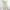 Green, variant on Tejiojio Solid Color Capri Pants for Women,Fashion Womens Elastic Straight Pants Trousers With Pocket