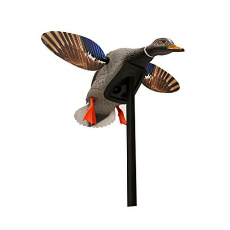 MOJO Outdoors Elite Series Mini Mallard (Drake) Duck Hunting Motion Decoy - (Best Motion Duck Decoy Reviews)