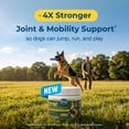 thumbnail image 3 of PetAg Dyne Joint Health & Mobility Soft Chews for Dogs – Advanced Collagen Formula with UC-II Collagen, up to 4X More Effective Than Glucosamine and Chondroitin Alone – 45 Chicken Liver Flavor Chews, 3 of 11