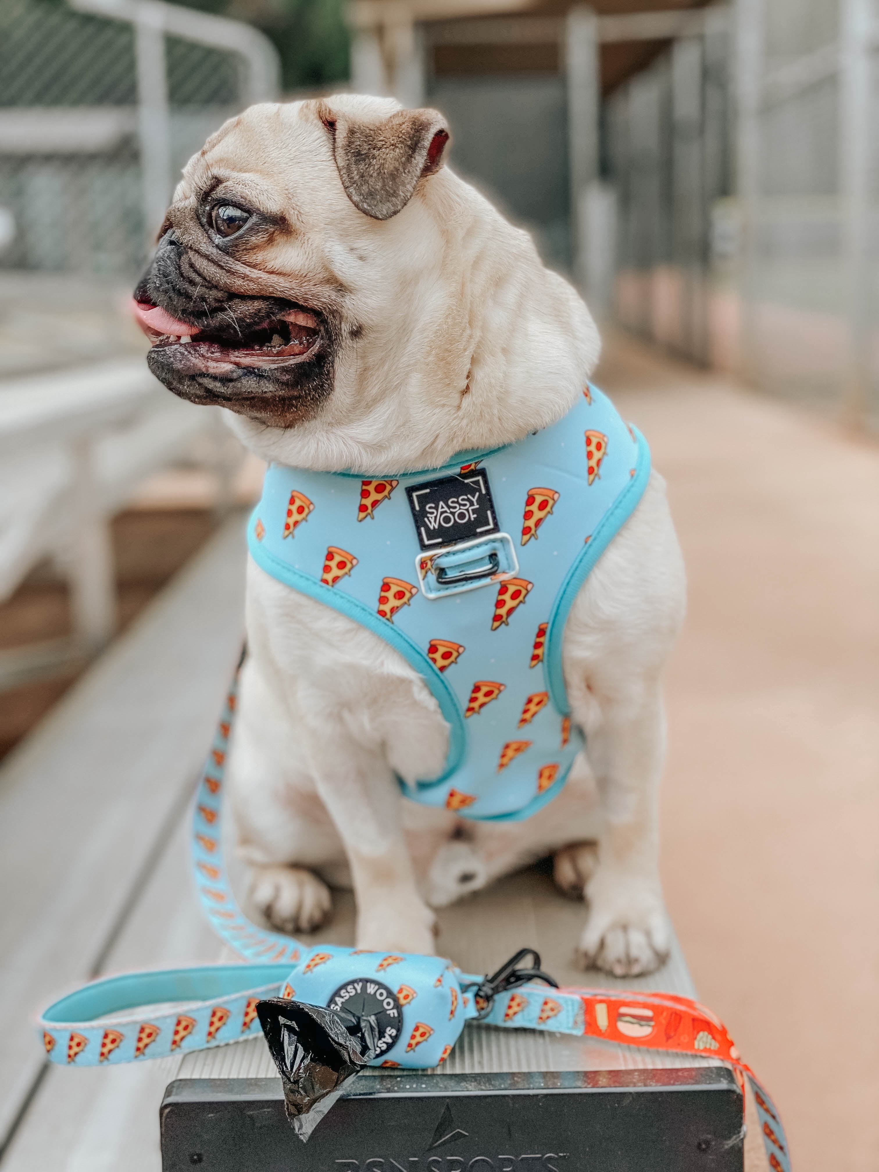One Hot Pupperoni Dog Large Reversible Harness by Sassy Woof