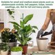 thumbnail image 4 of Plant Stakes Sets, Plant Sticks with Connect Pipe for Indoor and Outdoor Plants, Green Adjustable P, 4 of 4