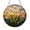 Acrylic 3.5 Inch, variant on Dandelion Meadow Stained Glass Suncatcher – Botanical Sunset Window Art