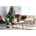 thumbnail image 4 of Simply Daisy Pine Colored Christmas Stars Christmas Soft Spun Polyester Decorative Throw Pillow, 18" x 18", 4 of 4