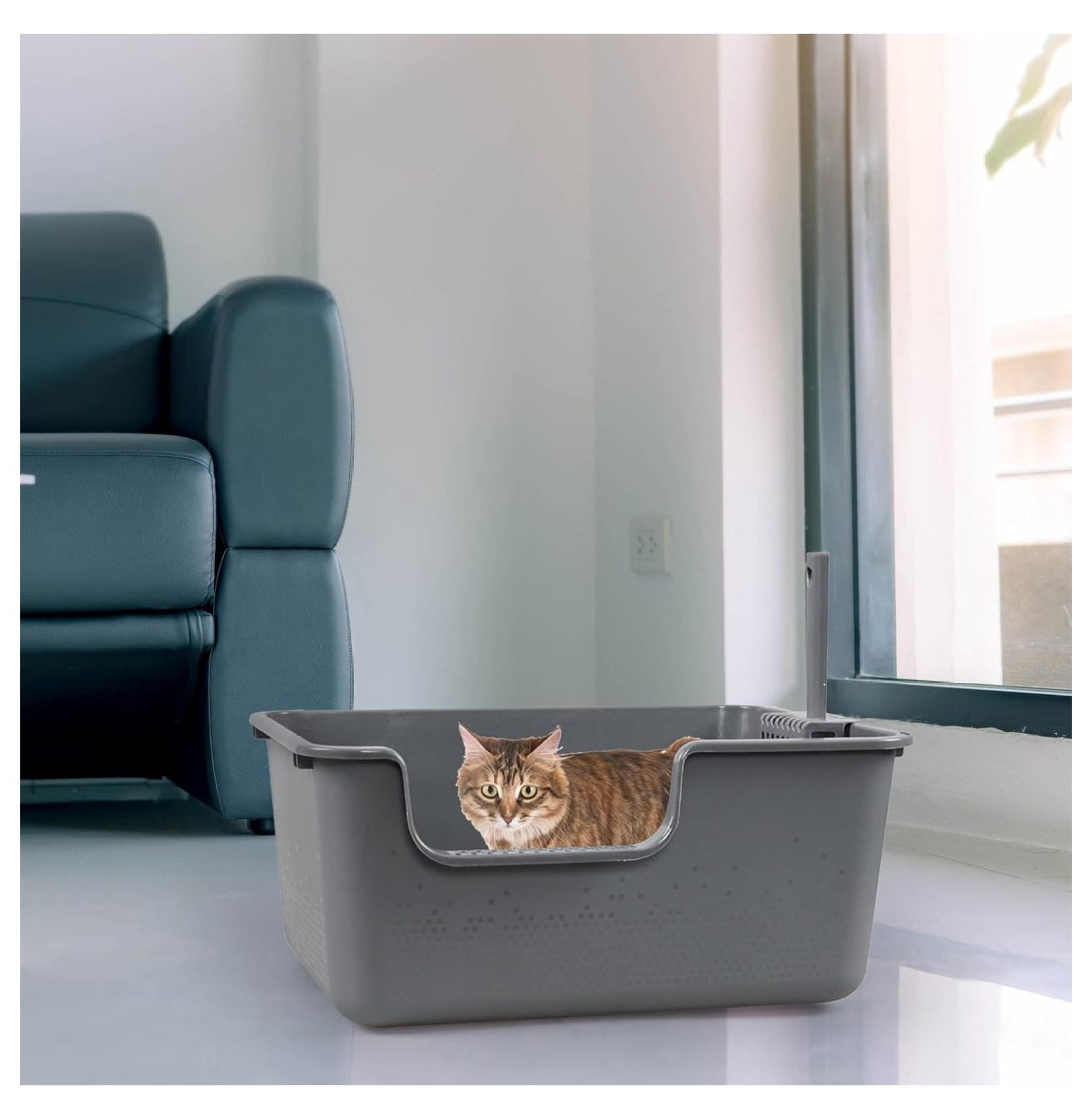 4-Pack Anti-Splashing Kitty Litter Box with , Plastic Open High Sided Cat Litter Box, Gray