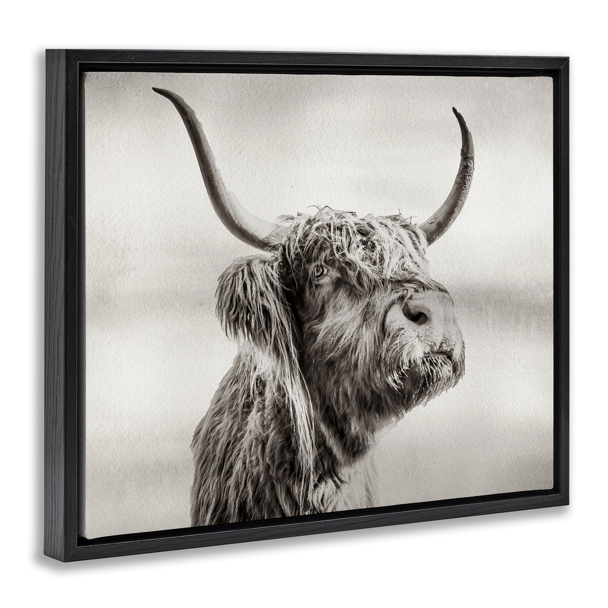 Stupell Industries Horned Highland Cow Gazing Black Framed Floater Canvas Wall Art, design by Julia Frost