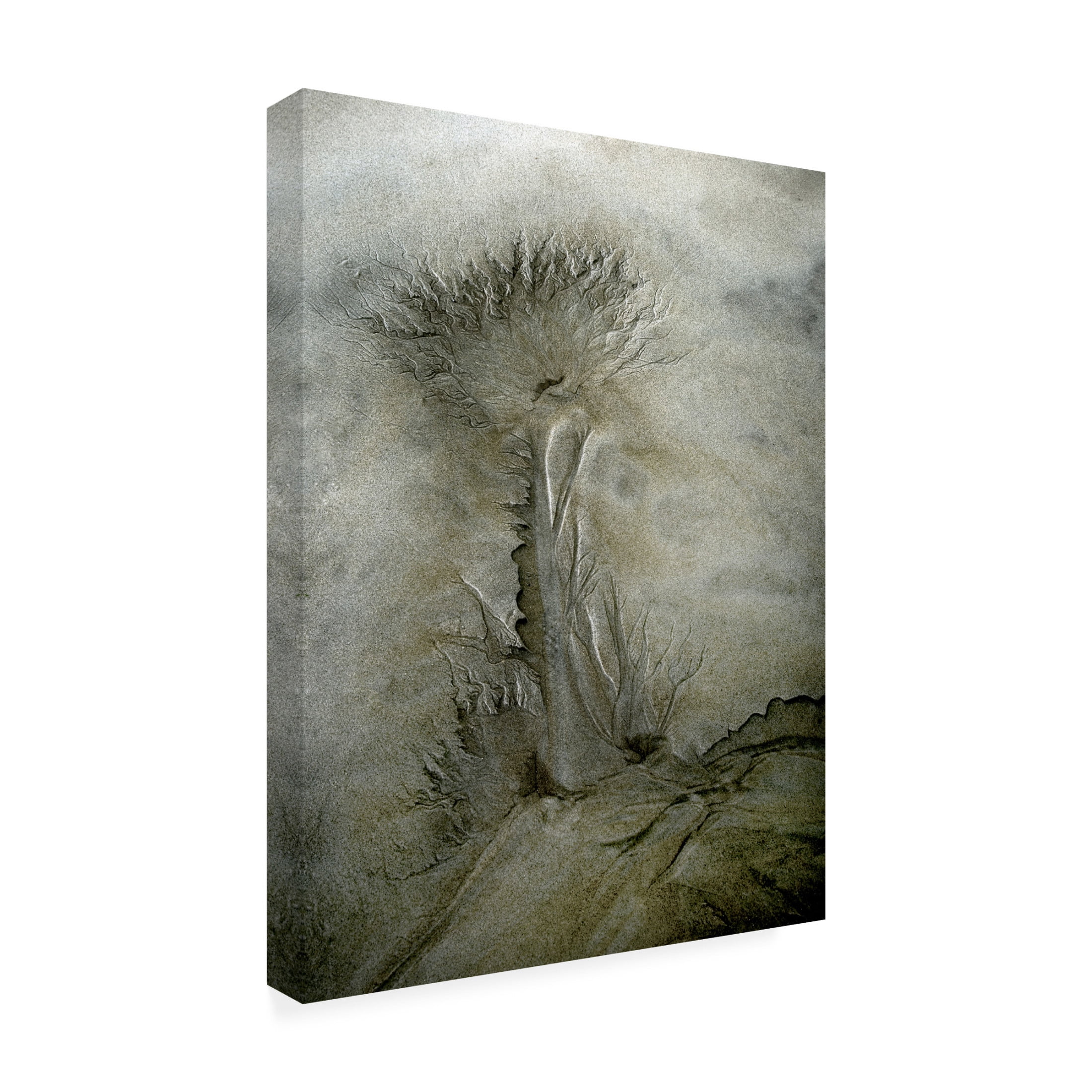Canvas Wall Art - Nel Talen 'Flow Pattern' Wall Art for Living Room, Bedroom, or Office D?cor by Trademark Fine Art - 24 x 32 Inches