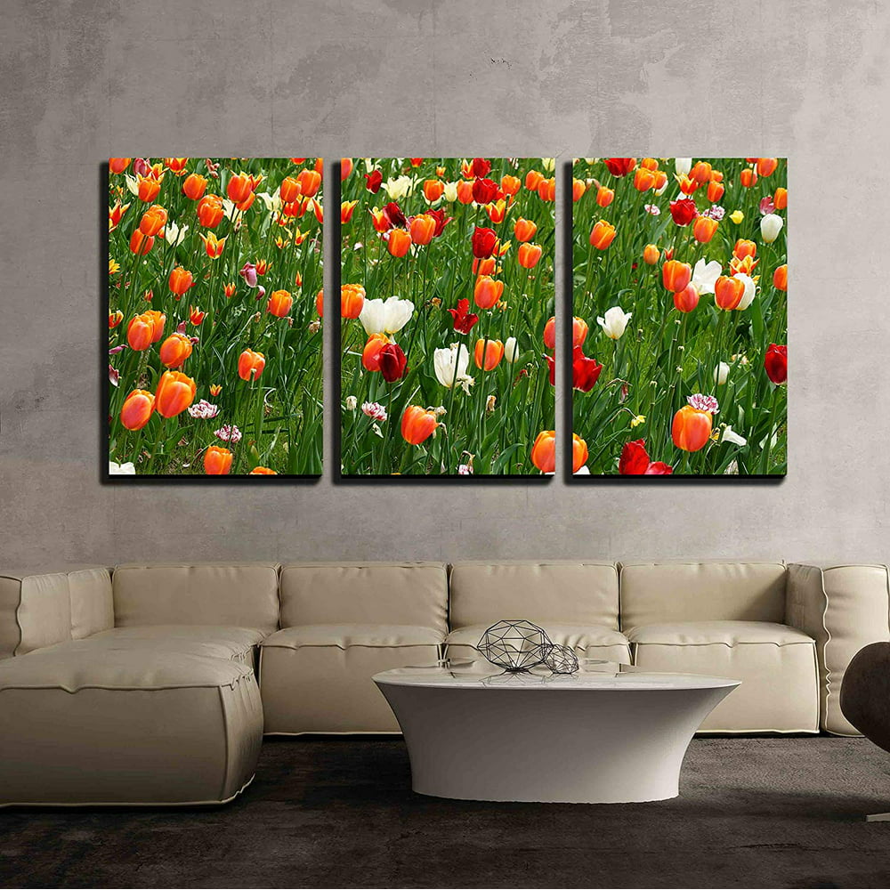 Wall26 3 Piece Canvas Wall Art - a Field of Colorful and Bright Tulips ...
