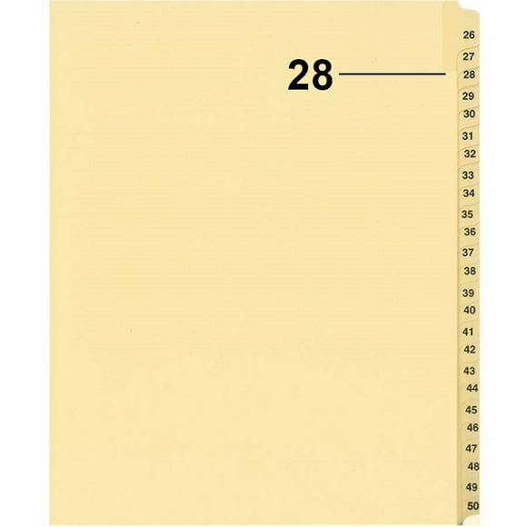 Davisgroup B1125-28 Diviseur d'Indices Numériques Individuels de Litiges 28 - 1 Unité