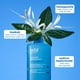 thumbnail image 3 of Tónico Hidratante Aqua Bomb belif con Ácido Hialurónico 200 ml, 3 of 8