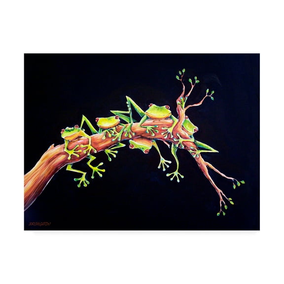 Trademark Fine Art 'Frog Just hanging' Canvas Art by Deborah Broughton