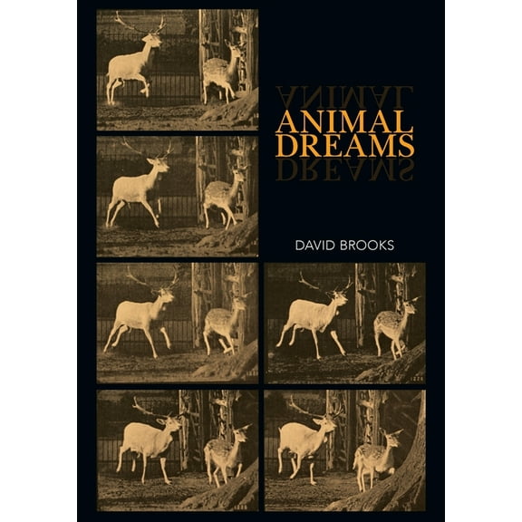 Animal Dreams, (Paperback)