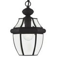 thumbnail image 1 of Livex Lighting Monterey 1 Light Outdoor Chain Lant, 1 of 5