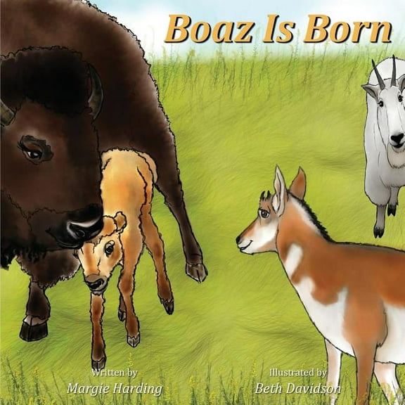 Boaz Is Born, (Paperback)