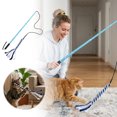 thumbnail image 1 of Tong Retractable Interactive Teaser Wand Exercising Stick For Puppy Small Medium & Cats Boredom & Training, 1 of 5