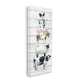 thumbnail image 3 of Stupell Industries Balancing Farm Animals Rustic White Plank Pattern Graphic Art Gallery Wrapped Canvas Print Wall Art, Design by Carol Robinson, 3 of 7